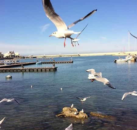 Annette Rooms Bari Dış mekan fotoğraf