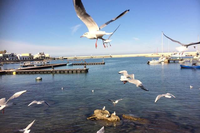 Annette Rooms Bari Dış mekan fotoğraf